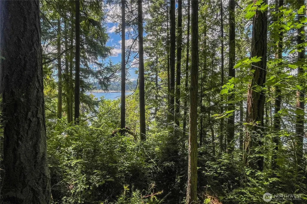 3 NW Sulphur Springs Lot 3 Bremerton WA 98310