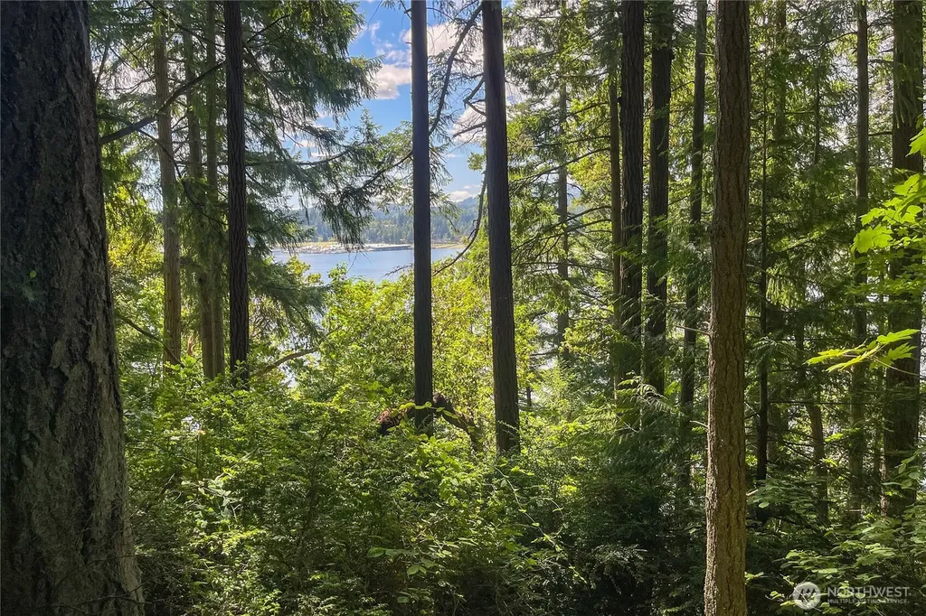 3 NW Sulphur Springs Lot 3 Bremerton WA 98310