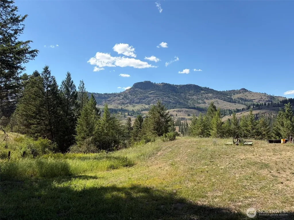 88 Little Bear Road Republic WA 99166