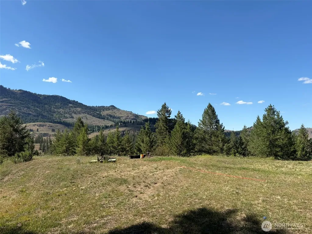 88 Little Bear Road Republic WA 99166