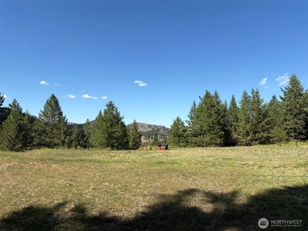 88 Little Bear Road Republic WA 99166