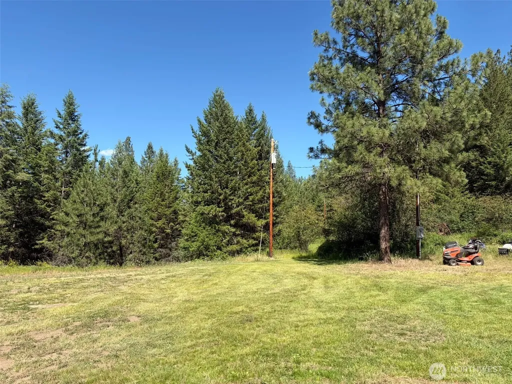 88 Little Bear Road Republic WA 99166