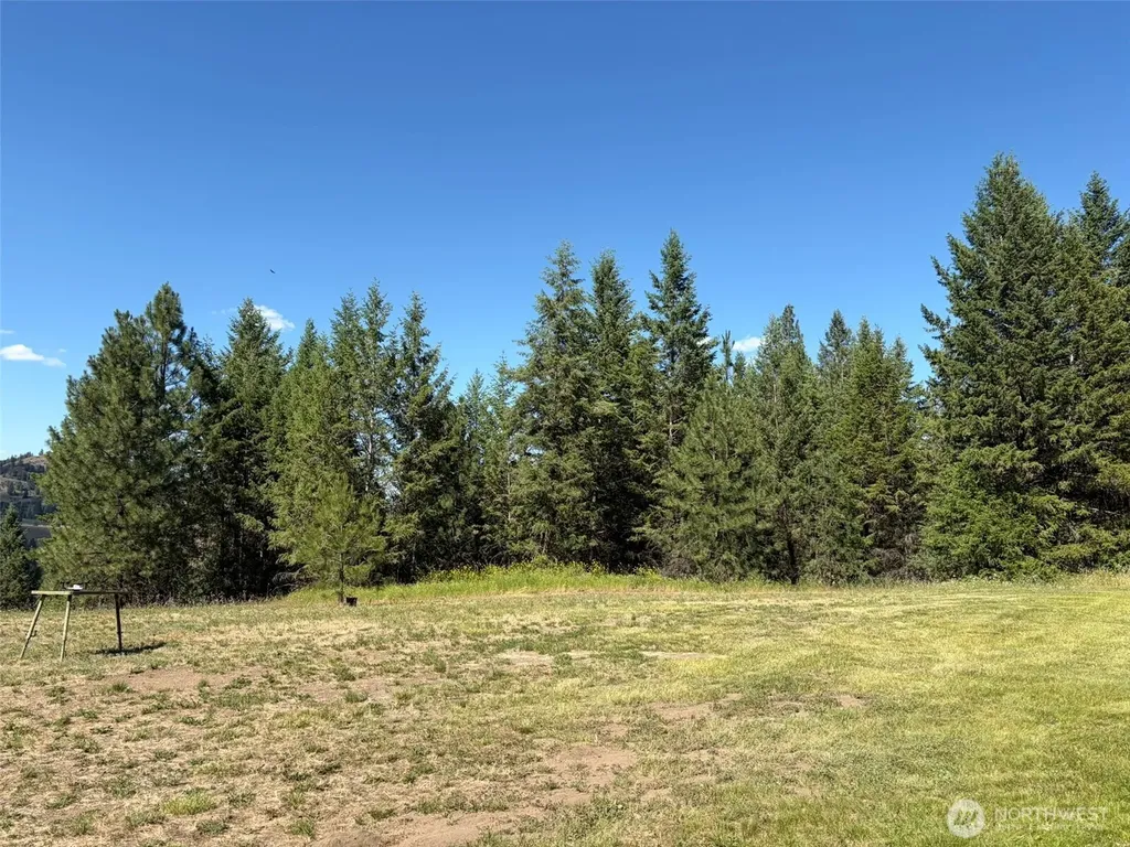 88 Little Bear Road Republic WA 99166