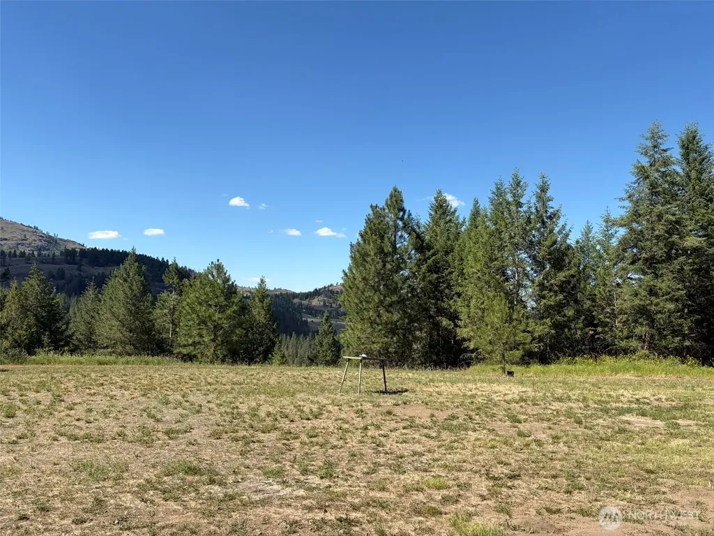 88 Little Bear Road Republic WA 99166