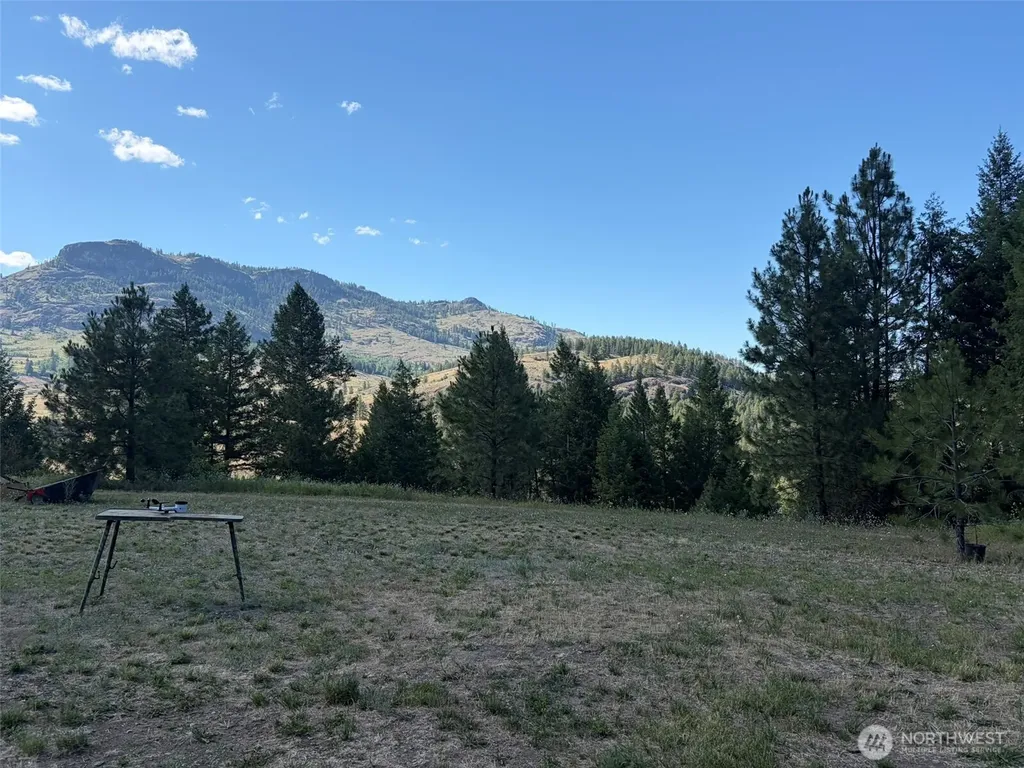 88 Little Bear Road Republic WA 99166