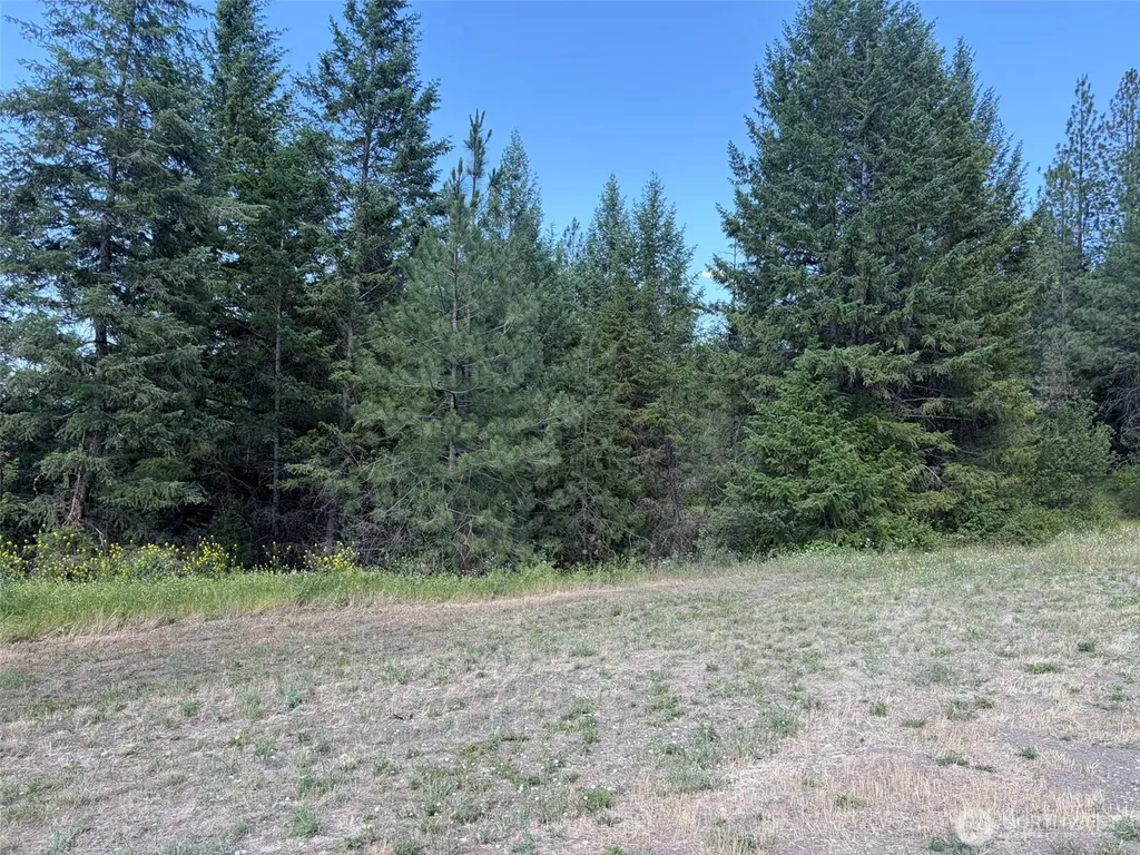 88 Little Bear Road Republic WA 99166