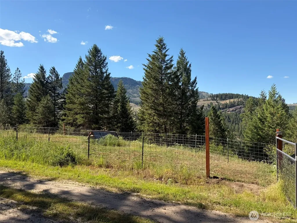 88 Little Bear Road Republic WA 99166