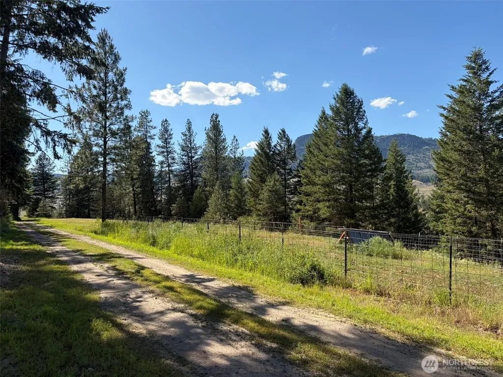 88 Little Bear Road Republic WA 99166