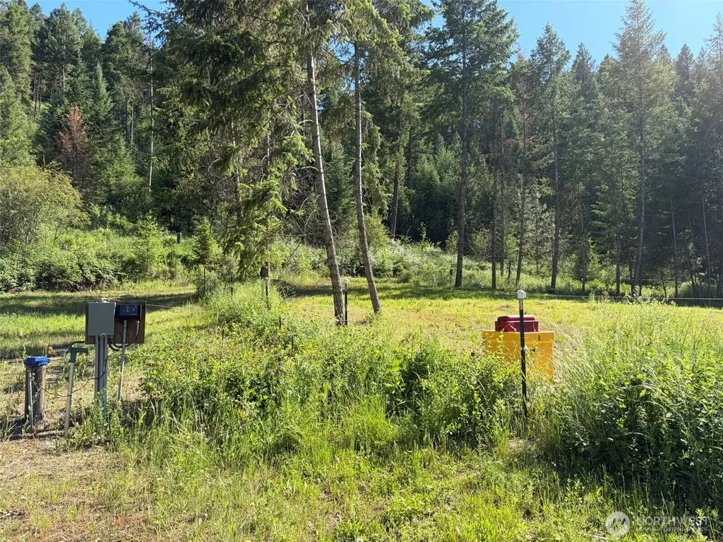 88 Little Bear Road Republic WA 99166