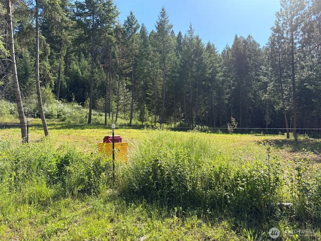 88 Little Bear Road Republic WA 99166