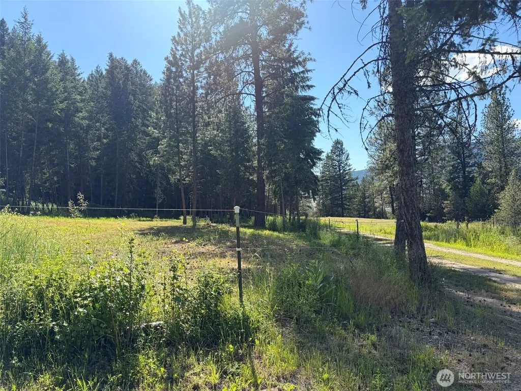 88 Little Bear Road Republic WA 99166