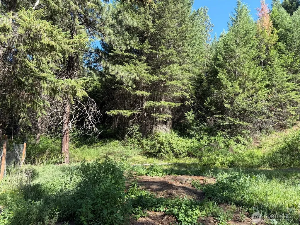 88 Little Bear Road Republic WA 99166