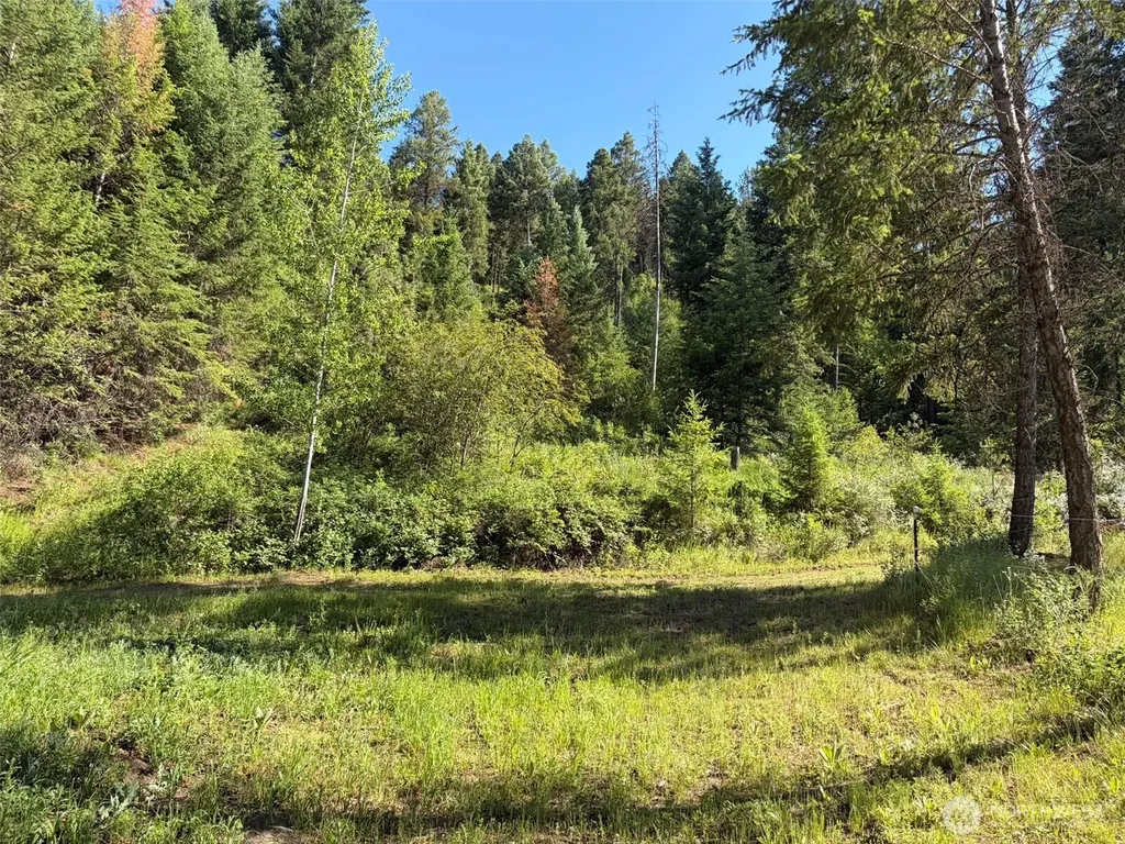 88 Little Bear Road Republic WA 99166