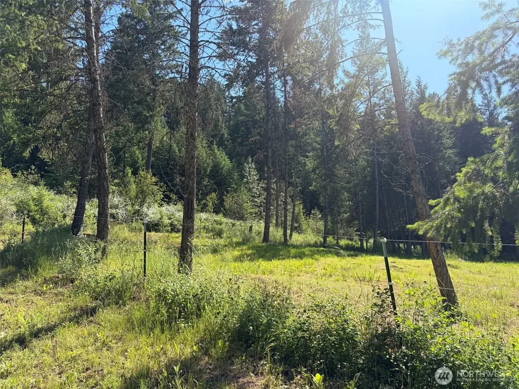88 Little Bear Road Republic WA 99166