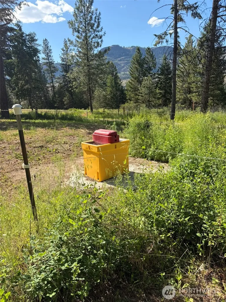 88 Little Bear Road Republic WA 99166