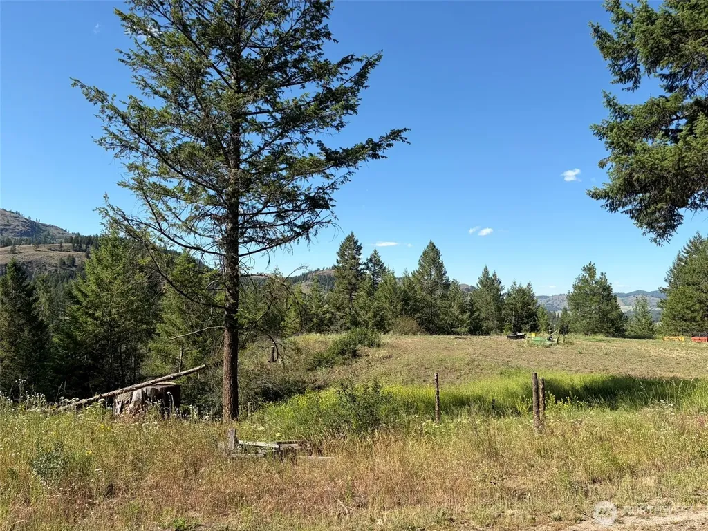 88 Little Bear Road Republic WA 99166