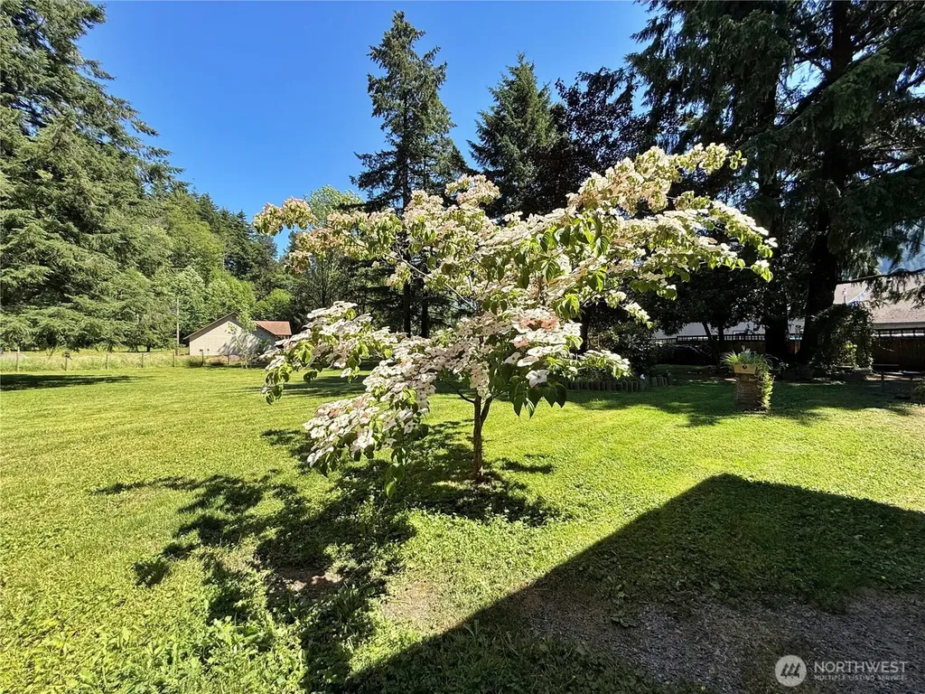 111 1st Street Morton WA 98356