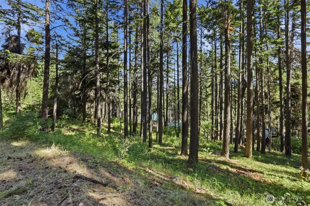 20 Lot Cle Elum WA 98922