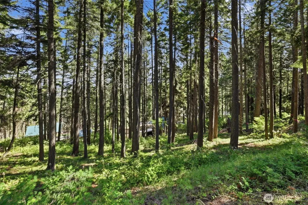 20 Lot Cle Elum WA 98922