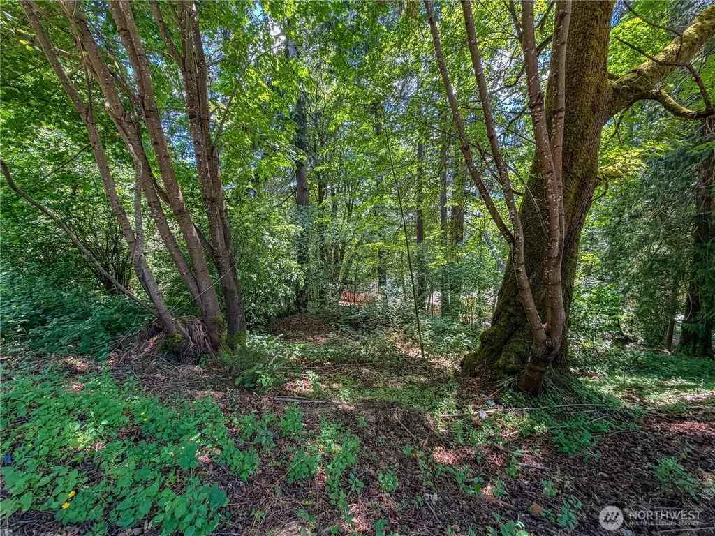0 Panorama Drive Shelton WA 98584