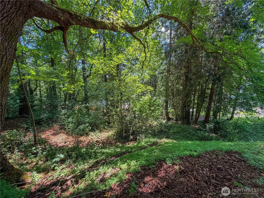 0 Panorama Drive Shelton WA 98584