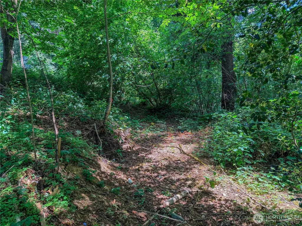 0 Panorama Drive Shelton WA 98584