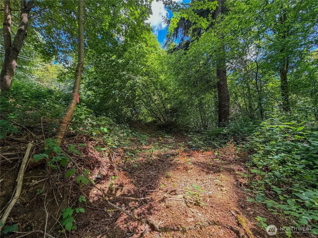 0 Panorama Drive Shelton WA 98584