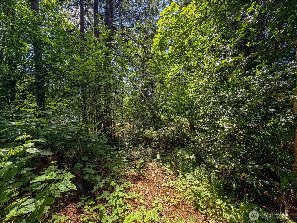 0 Panorama Drive Shelton WA 98584