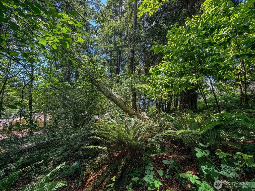 0 Panorama Drive Shelton WA 98584