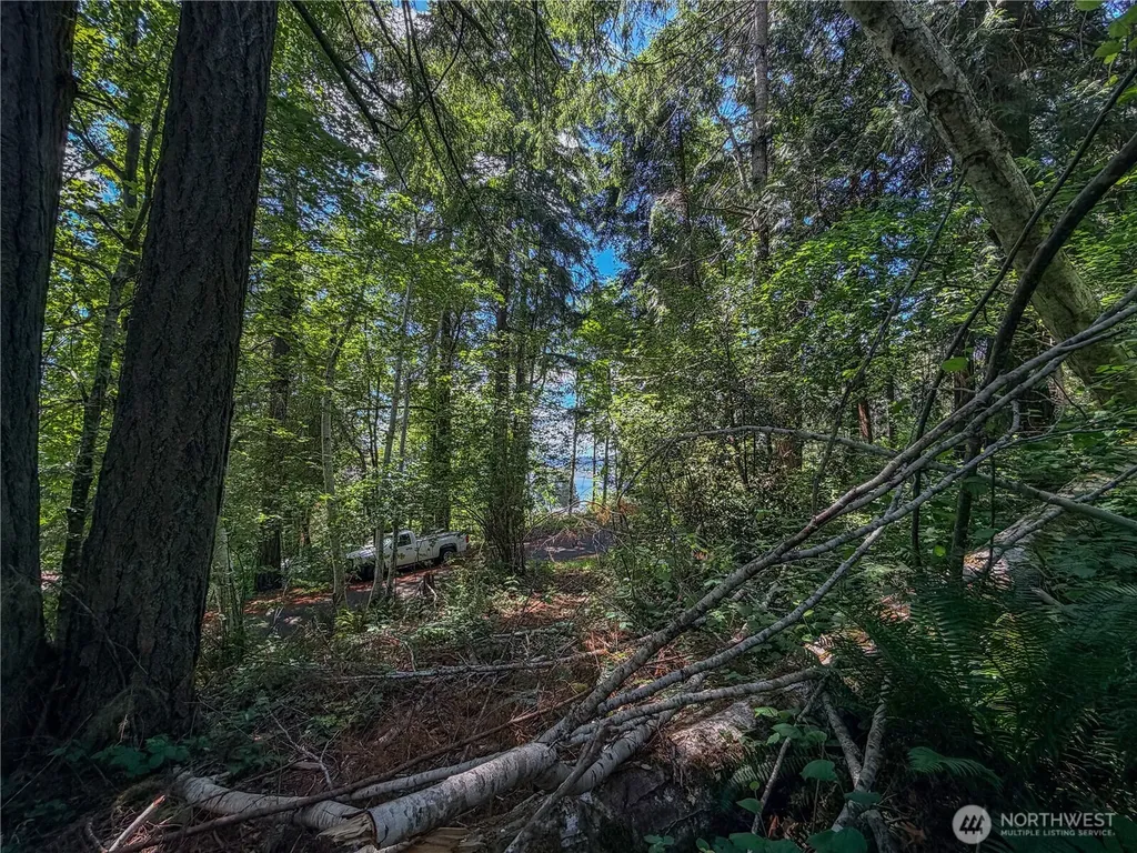 0 Panorama Drive Shelton WA 98584