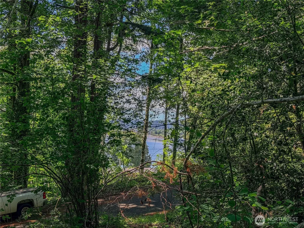 0 Panorama Drive Shelton WA 98584