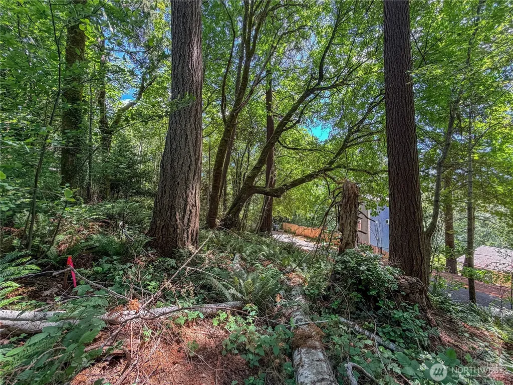 0 Panorama Drive Shelton WA 98584