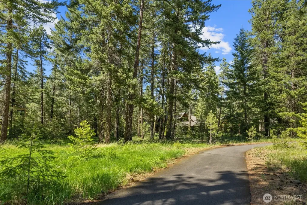 110 Wood Rose Court Cle Elum WA 98922