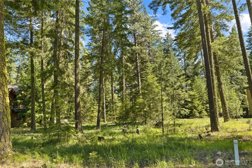 110 Wood Rose Court Cle Elum WA 98922