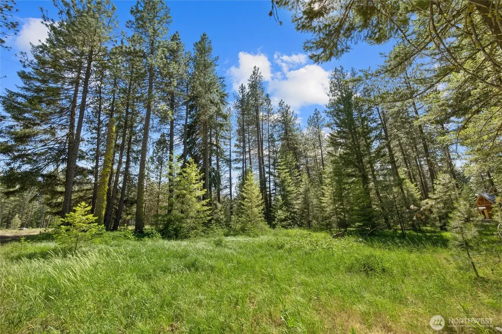 110 Wood Rose Court Cle Elum WA 98922