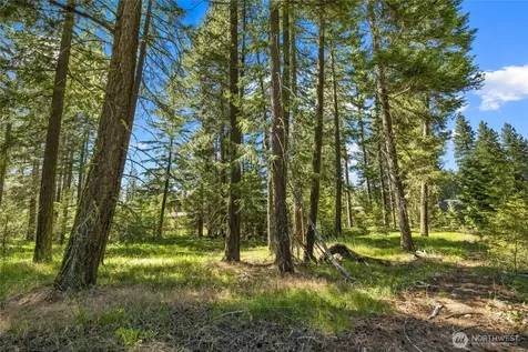 110 Wood Rose Court Cle Elum WA 98922