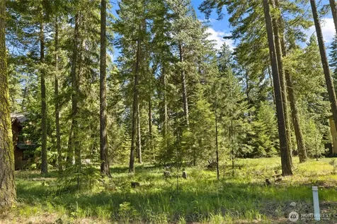 110 Wood Rose Court Cle Elum WA 98922