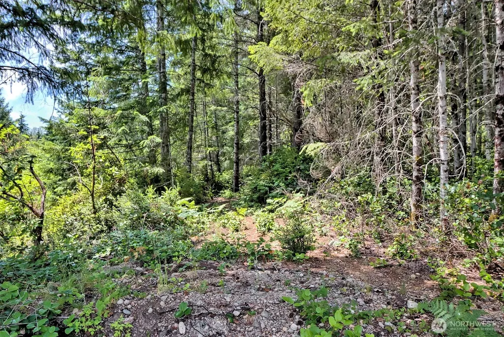 361 NE Southridge Drive Belfair WA 98528