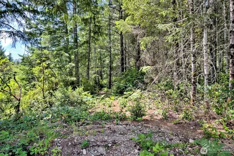 361 NE Southridge Drive Belfair WA 98528