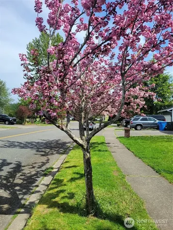506 Skinner Way SW Orting WA 98360