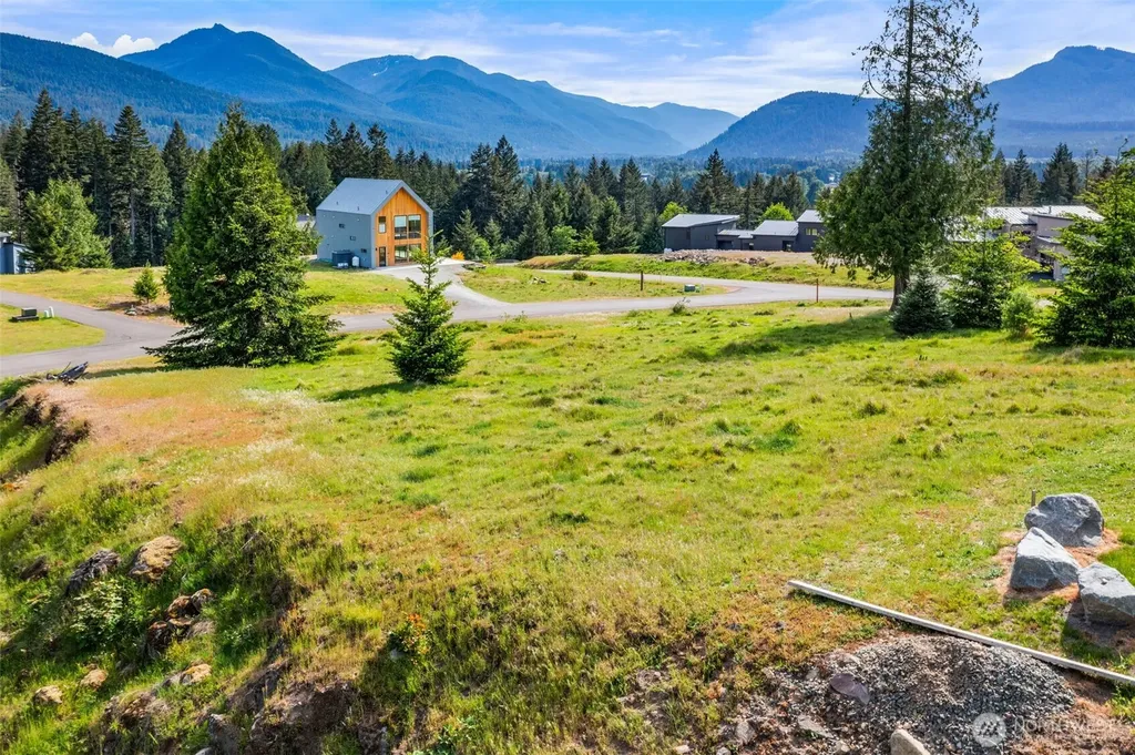 107 Belle Lane Packwood WA 98937