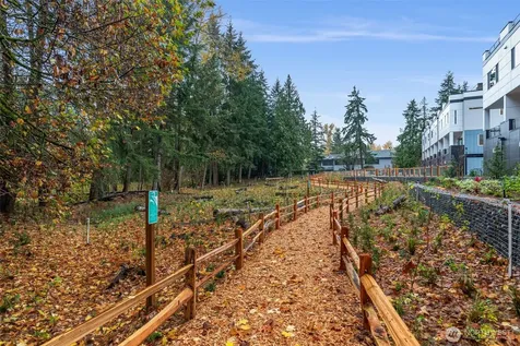 1122 129th Court NE Bellevue WA 98005