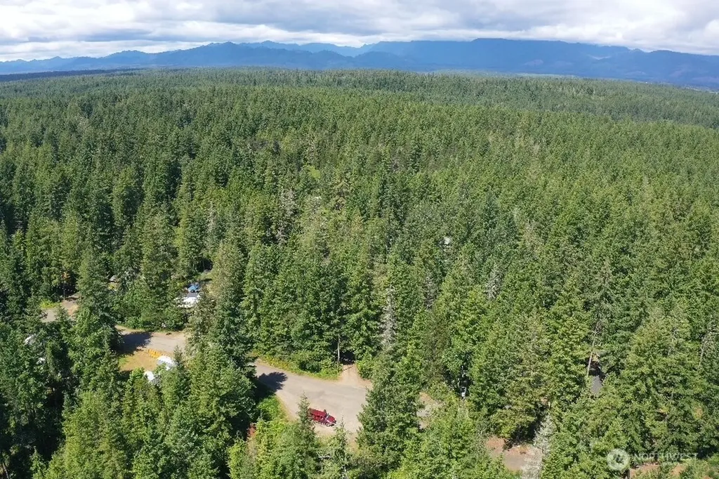 101 NE Creekside Place Tahuya WA 98588