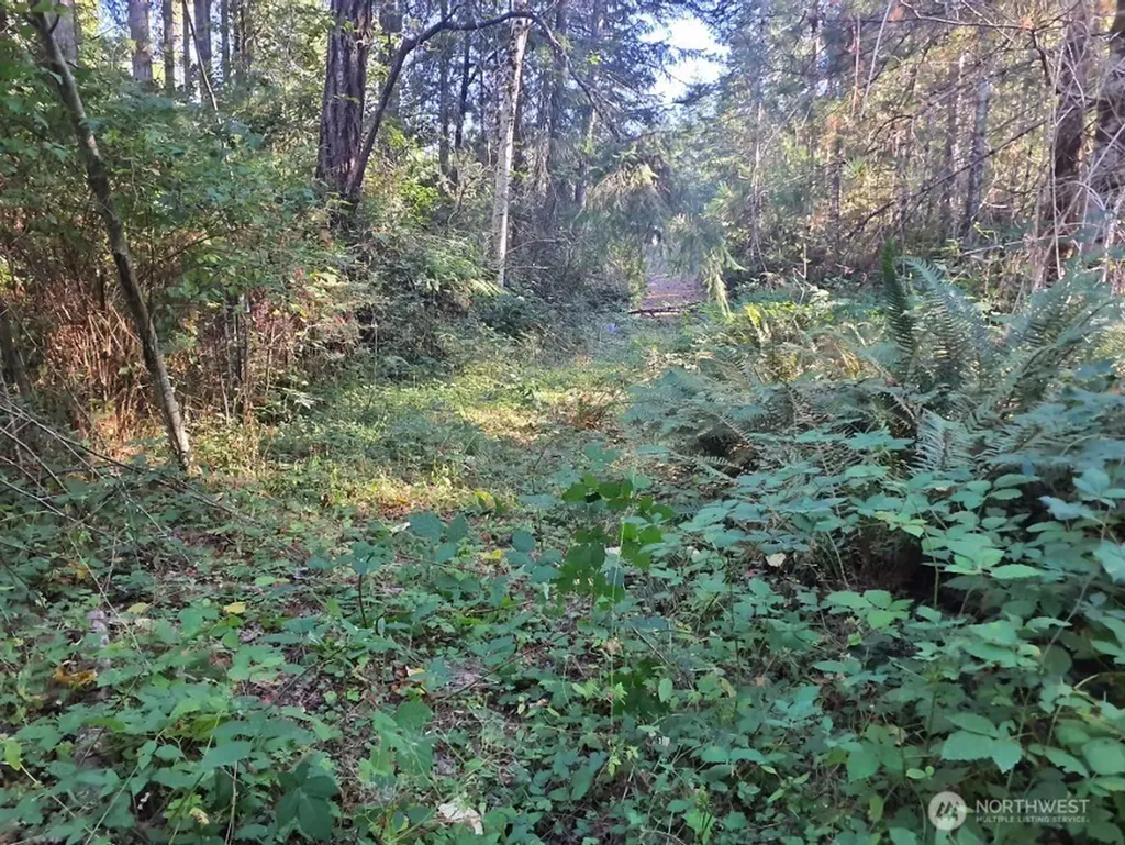 101 NE Creekside Place Tahuya WA 98588