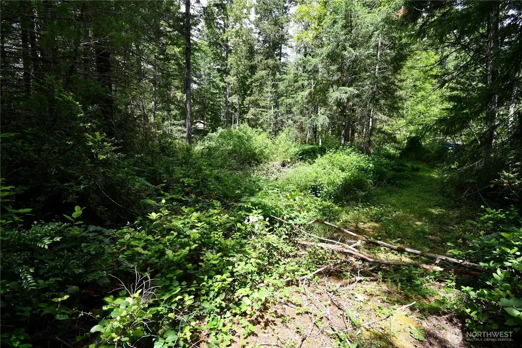 101 NE Creekside Place Tahuya WA 98588