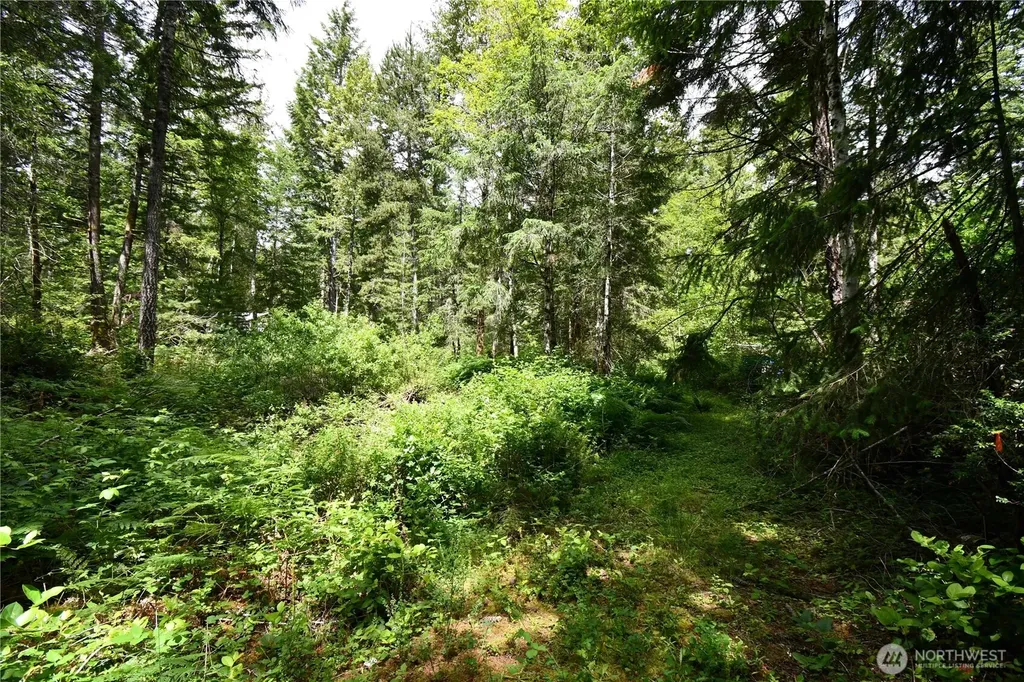 101 NE Creekside Place Tahuya WA 98588