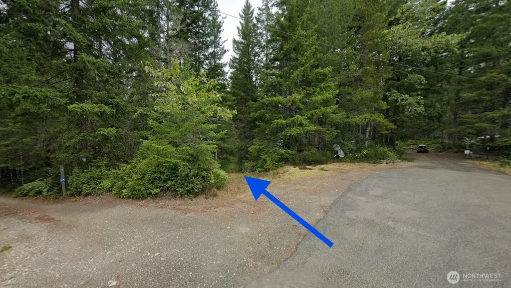 101 NE Creekside Place Tahuya WA 98588