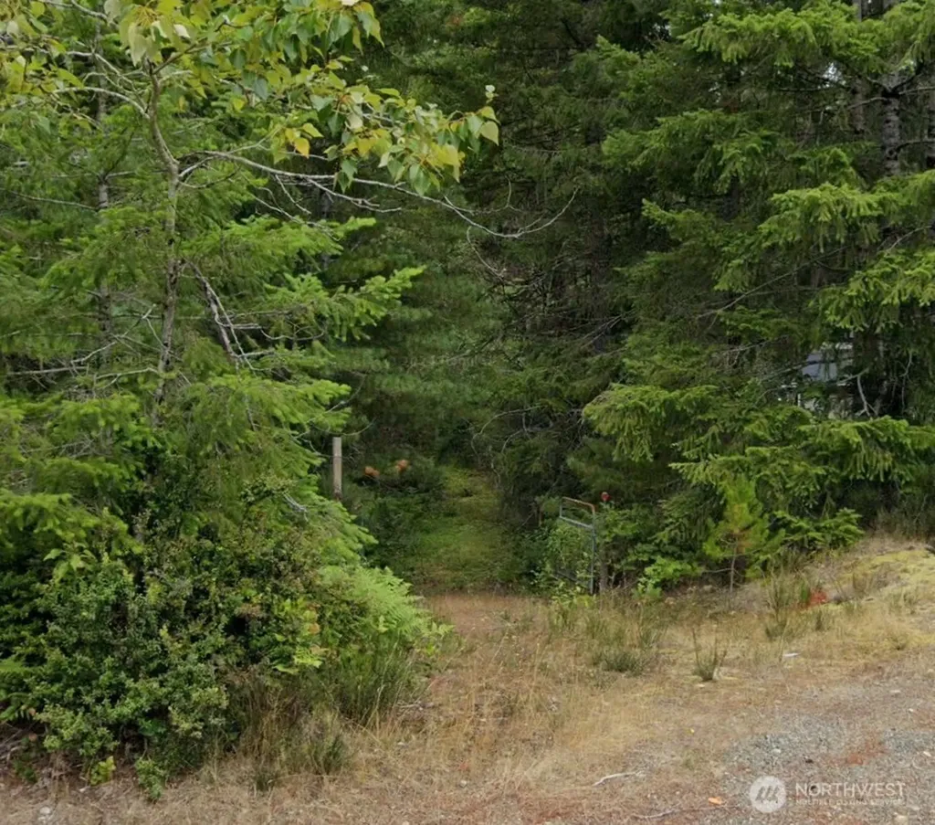 101 NE Creekside Place Tahuya WA 98588