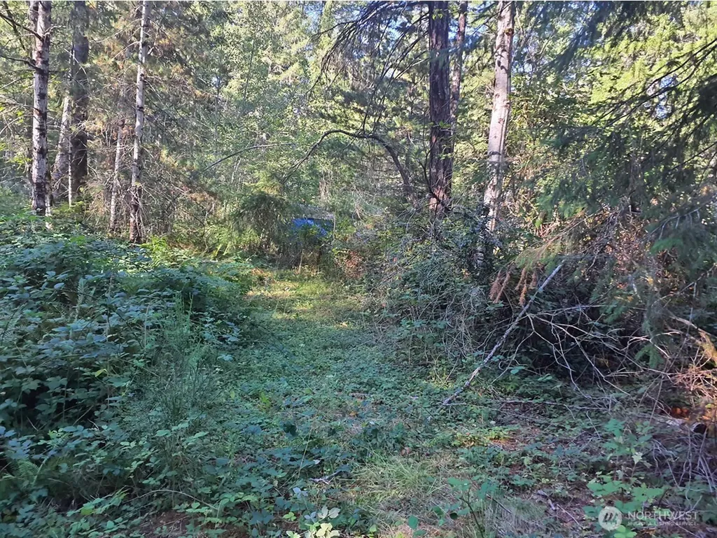 101 NE Creekside Place Tahuya WA 98588