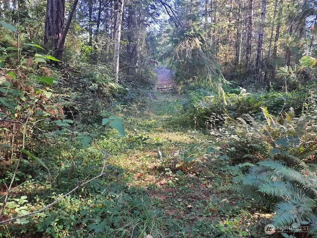 101 NE Creekside Place Tahuya WA 98588